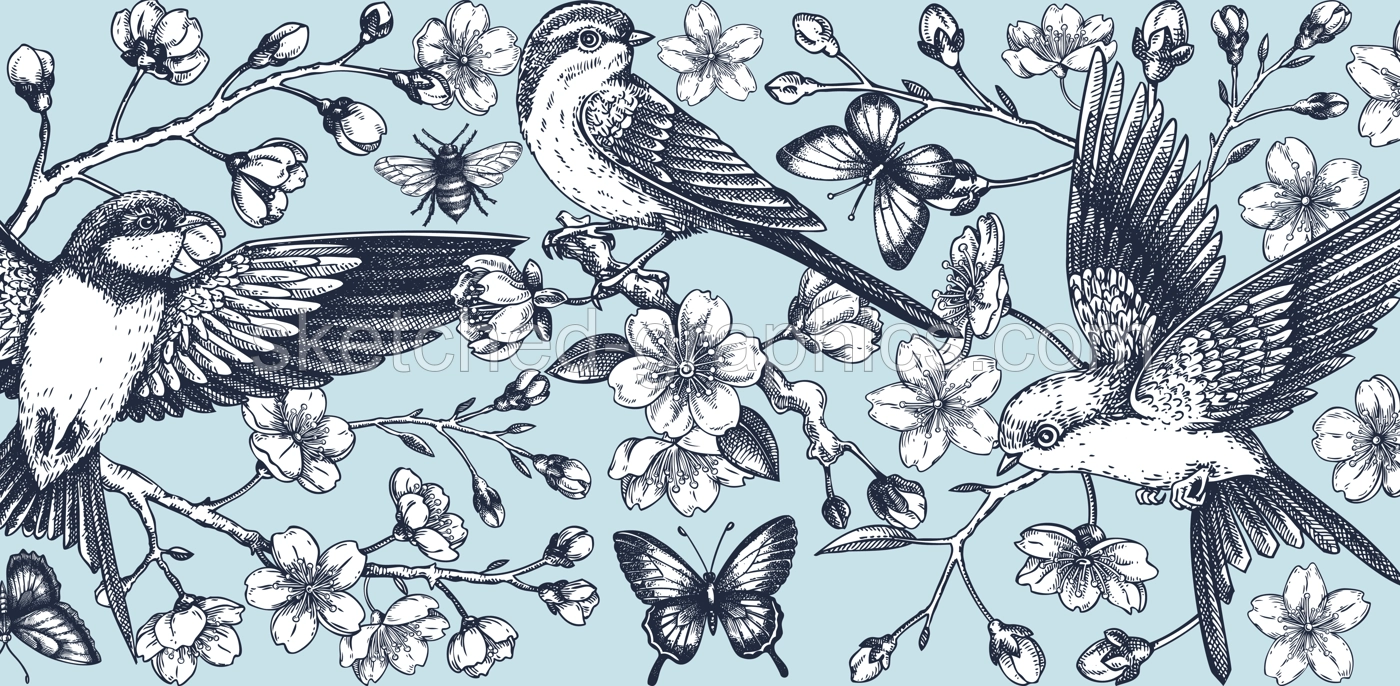Hand drawn floral illustration for print. T-shirt design. Cherry blossom and flying bird sketch illustration. Vintage spring background. NOT AI generated Illustration